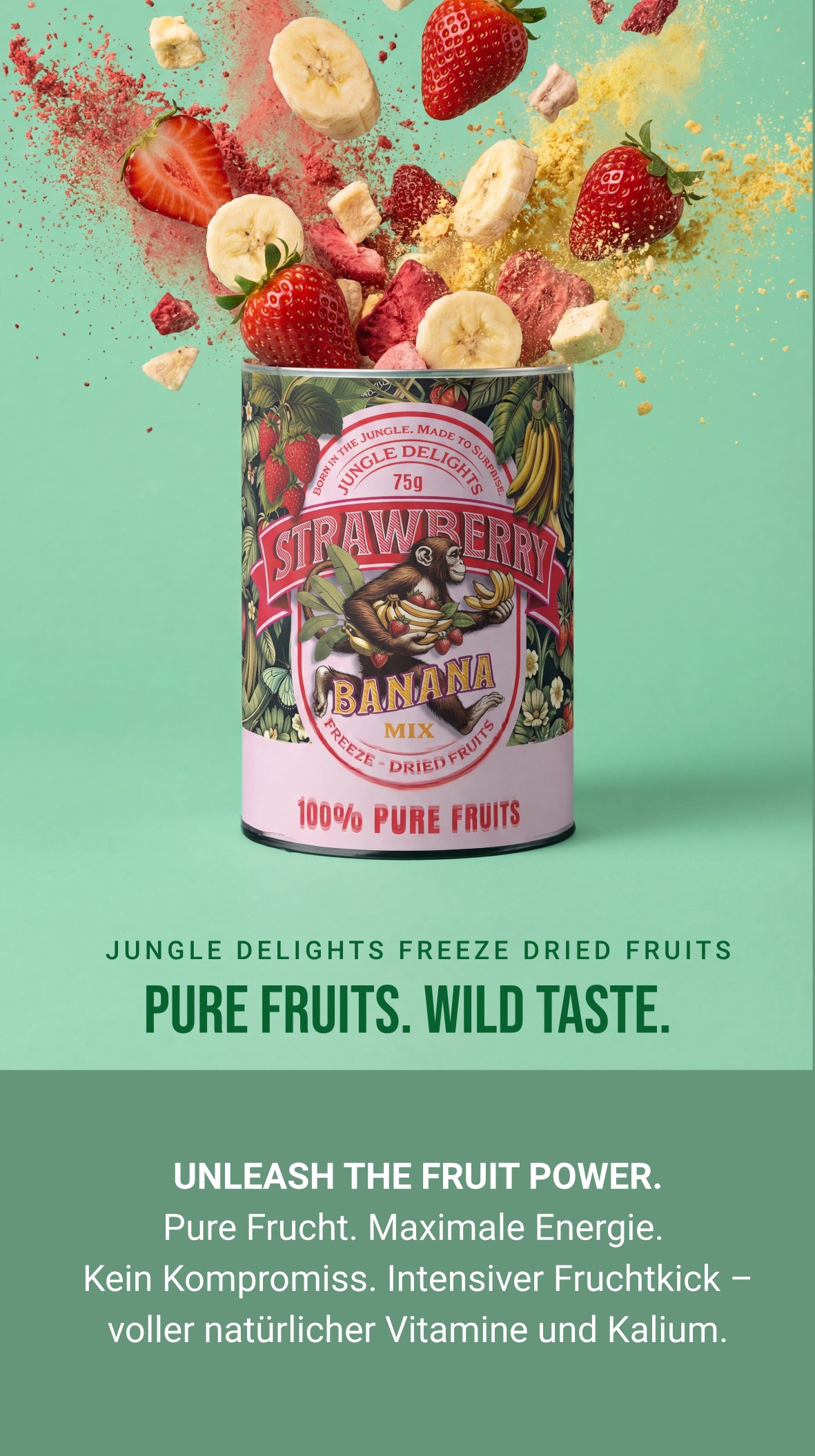 
                  
                    Jungle Delights - Freeze dried Strawberry & Banana Mix
                  
                
